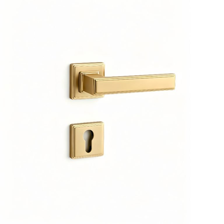 Door Lock